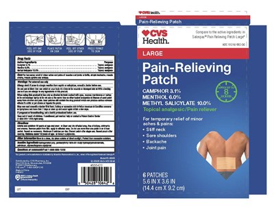 Label (92 65005 0824 Pkg Pain Relief Patch)